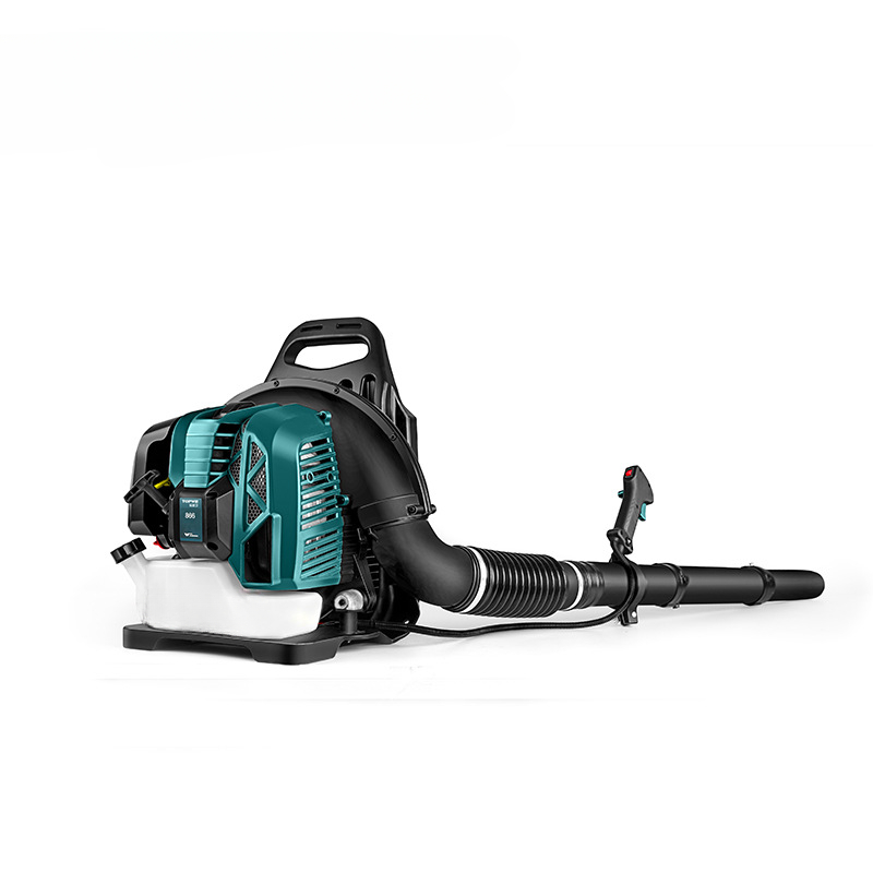 Two-stroke backpack hair dryer - Backpacks review and price